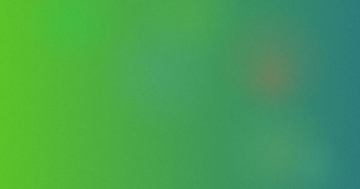 莉莉娅测评：避坑问答